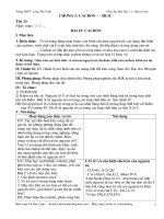 Giáo án 11 - Ban cơ bản - Chương 3