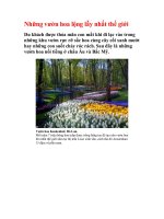 Những vườn hoa lộng lẫy nhất thế giới