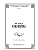 Kế hoạch chuyên môn năm 2010 - 2011