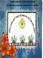 Bài 14: Giao thông vận tải