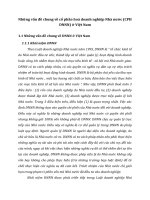 Những vấn đề chung về cổ phần hoá doanh nghiệp Nhà nước