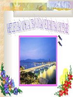 Luyện tập Tiếng Việt tuần 10