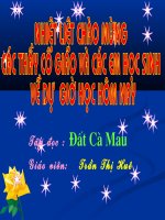 Đất  Cà Mau
