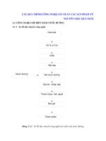 CÁC QUY TRÌNH CÔNG NGHỆ SẢN XUẤT CÁC SẢN PHẨM TỪ NGUYÊN LIỆU QUẢ XOÀI