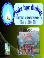 Tham luận Sữa Học Đường MNSC
