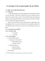 Cơ sở lí luận về vốn và quản lí nguồn vốn của NHTM