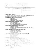 Đề kiểm tra Học kỳ I_môn Tiếng Việt Lớp 5_3