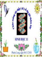 BAI 18: TUAN HOAN MAU