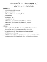 DE CUONG ON THI HK I- TIN11 (nh10-11)