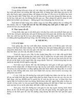 SKKN chuyen de boi duong HSG.doc