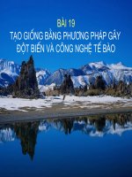 Bài 19: Tạo giống bằng phương pháp gây đột biến và công nghệ tế bào