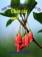 Luyện T&C: Vị ngữ trong câu kể.....