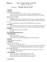 Lớp 3 - Tuần 11