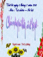 Tự nhiên - Xã hội lớp 1 bài 23 Cây