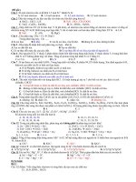 KT HK1 hoa 10 cb(4 mã) TN-TL