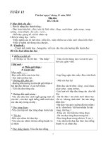 giao an tuan 11- CKTKN cuc hay