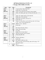 GIAO AN L4 TUAN 12 CKT ( moi)