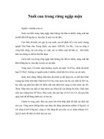 Nuôi cua trong rừng ngập mặn