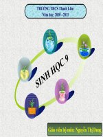 Bài 31. tiết 32 Công nghệ tế bào