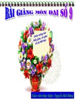 Tiết 20: Hàm số bậc nhất - GV: Nguyễn Thị Hải Đăng - Trường THCS Nguyễn Đức Cảnh