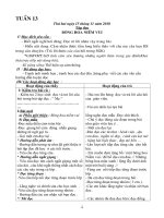 Giáo án 2 - Tuần 13 CKTKN cuc hay