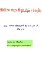 Tiết 42- Phương trình bậc nhất một ẩn và cách giải .