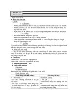 Văn 9 ( Theo chuẩn ktkn)