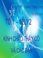 Tạo giống bằng công nghệ gen (Tiết 2)