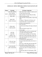 giao an hoat dong ngaoi gio len lop lop 5