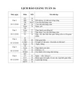 GA T16 lớp 2 có KNS,BVMT,TTHCM