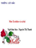 TNXH pHÒNG CHÁY CHỮA CHÁY KHI Ở NHÀ   TRƯỜNG TIỂU HỌC LIÊN BẢO (NGUYỄN THỊ  THANH)