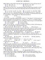 Luyện tập chương N-P hay