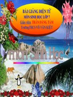 Bài 31. CÁ CHÉP ( hay)