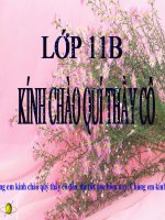 Cong thuc nhi thuc niuton thao giang