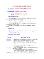 KPKH Đôi bạn gà vịt