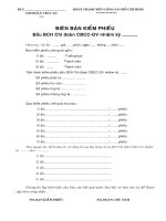 Biên bản kiểm phiếu