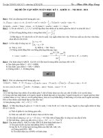 Bộ đề Ôn thi học kỳ lớp 11: 2010-2011