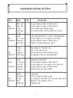 giao lop 3 tuan 9-10 CKTKN