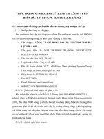 THỰC TRẠNG KINH DOANH LỮ HÀNH TẠI CÔNG TY CỔ PHẦN ĐẦU TƯ THƯƠNG MẠI DU LỊCH HÀ NỘI