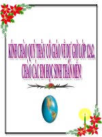 GA thao giang 12 NC, Tiết 24 LAO ĐỘNG VIỆC LÀM