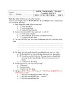 Đề kiểm tra cuối HKI Tiếng Việt(2010-2011)