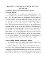 TÍN DỤNG VÀ CHẤT LƯỢNG TÍN DỤNG CỦA     NGÂN HÀNG THƯƠNG MẠI