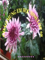 Ôn Tập Chương I Số học 6