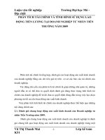 PHÂN TÍCH TÀI CHÍNH VÀ TÌNH HÌNH SỬ DỤNG LAO ĐỘNG TIỀN LƯƠNG TẠI DOANH NGHIỆP TƯ NHÂN TIẾN TRƯỜNG NĂM 2009