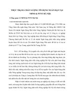 THỰC TRẠNG CHẤT LƯỢNG TÍN DỤNG NGẮN HẠN TẠI NHNO