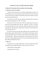 CƠ SỞ LÝ LUẬN VỀ TIÊU THỤ SẢN PHẨM