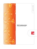 DSX Fundamentals Connecting with Your Network