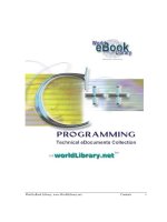 C ++programing   world ebook library 
