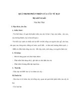 QUÁ TRÌNH PHÁT TRIỂN CỦA CÂY TỪ HẠT - Độ tuổi 5-6 tuổi