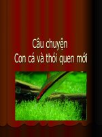 Câu chuyện con cá ( Tài liệu QLGD)